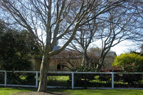 Photo of property in 36 Clifton Avenue, Carterton, 5713