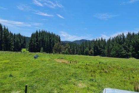 Photo of property in 535 Craigie Lea Road, Te Wharau, Masterton, 5883