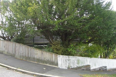 Photo of property in 23 Littlebourne Road, Roslyn, Dunedin, 9010