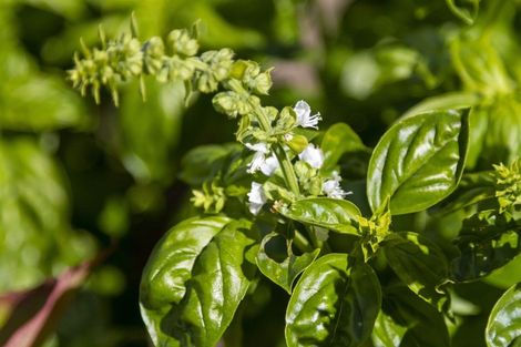 Photo of property in 1 Aqua Way, Paraparaumu, 5032