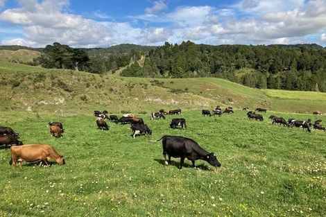 Photo of property in 755 Limeworks Loop Road, Karamu, Hamilton, 3285