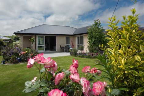 Photo of property in 19 Eric Batchelor Place, Waimate, 7924