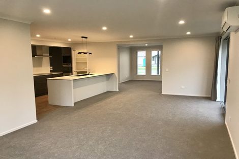 Photo of property in 98 Berryfield Drive, Appleby, Richmond, 7020