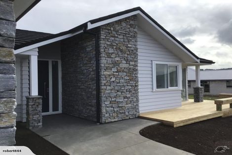 Photo of property in 17 Peter Bourne Drive, Pokeno, 2402