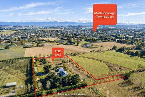 Photo of property in 144 Dublin Street, Martinborough, 5711