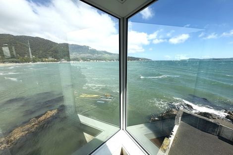Photo of property in 603b Marine Drive, Days Bay, Lower Hutt, 5013