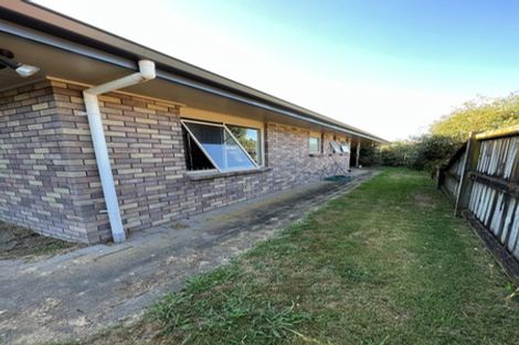Photo of property in 14 Commodore Avenue, Flagstaff, Hamilton, 3210