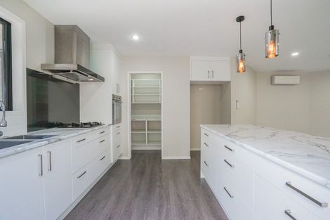 Photo of property in 29 Pyne Crescent, Pokeno, 2402