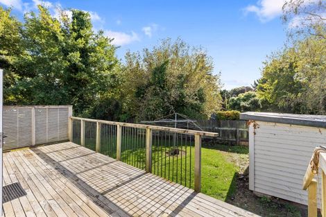 Photo of property in 49 Cramond Street, Tokoroa, 3420