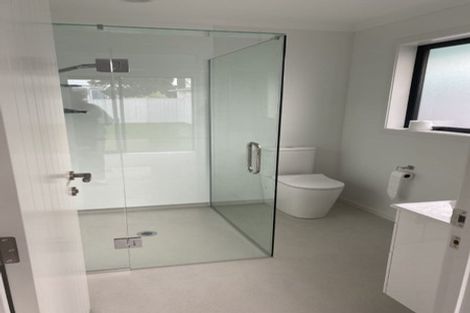 Photo of property in 2a Weber Place, Roslyn, Palmerston North, 4414