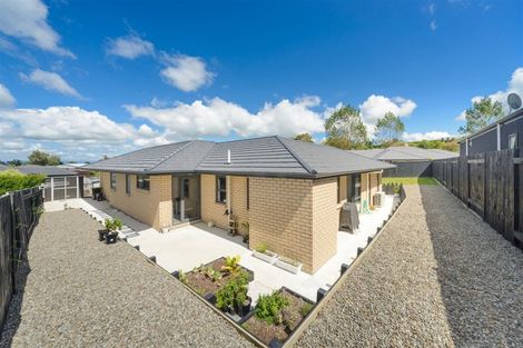 Photo of property in 8 Poplar Grove, Feilding, 4702