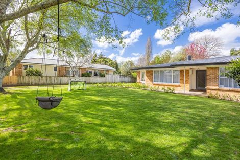 Photo of property in 12 Mcnicol Street, Fairfield, Hamilton, 3214