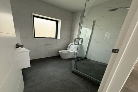 Photo of property in 3 Hind Street, Flat Bush, Auckland, 2019