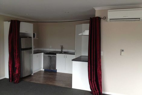 Photo of property in 217c Killarney Road, Frankton, Hamilton, 3204