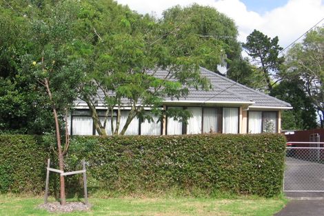 Photo of property in 4 Larsen Road, Panmure, Auckland, 1072