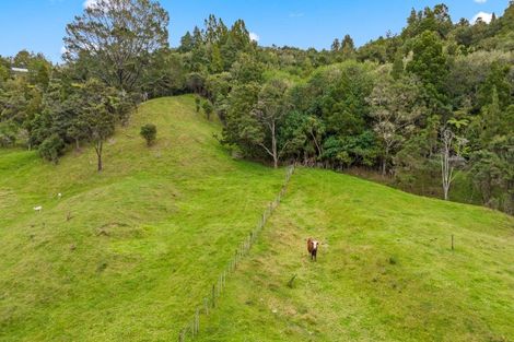 Photo of property in 211 Whitehills Road, Waitoki, Silverdale, 0994