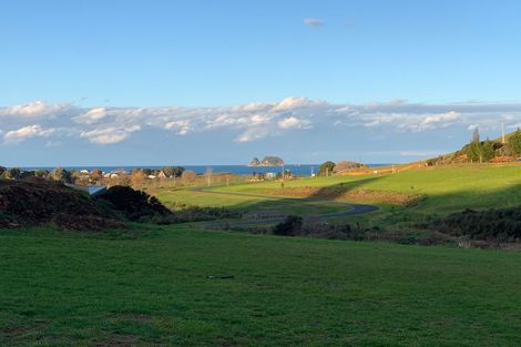 Photo of property in 49 Discovery Drive, Wharekaho, Whitianga, 3510