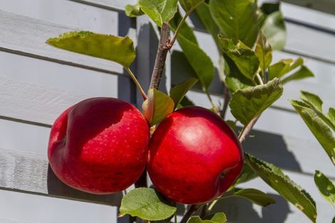 Photo of property in 1 Aqua Way, Paraparaumu, 5032