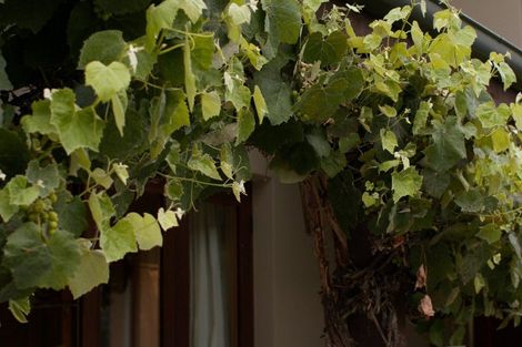 Photo of property in 515 Mount Barker Road, Wanaka, 9382