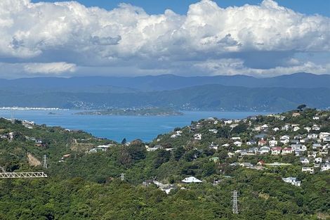 Photo of property in 58 Winston Street, Crofton Downs, Wellington, 6035