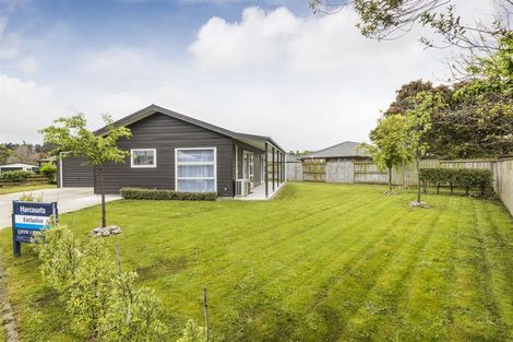 Photo of property in 137 Oxford Street, Ashhurst, 4810