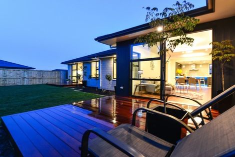 Photo of property in 55 Sylvester Crescent, Flagstaff, Hamilton, 3210