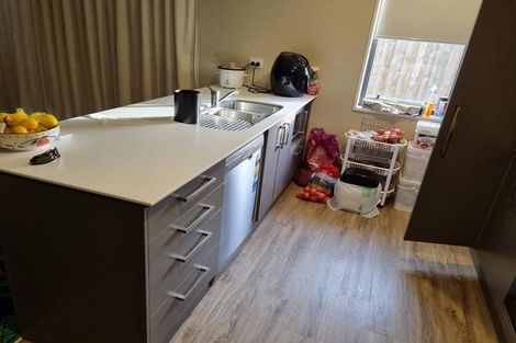 Photo of property in 30 Rothwell Drive, Rolleston, 7615