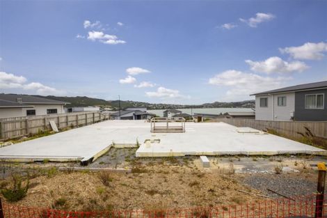 Photo of property in 58a John Burke Drive, Aotea, Porirua, 5024