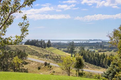 Photo of property in 316 Work Road, Aongatete, Katikati, 3181