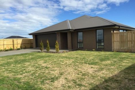 Photo of property in 80 Lignite Drive, Rolleston, 7614