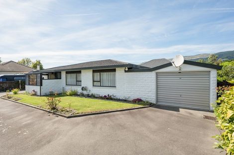 Photo of property in 43a Oxford Street, Richmond, 7020