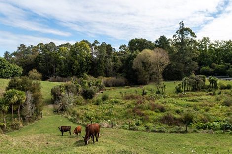 Photo of property in 80 Tuapiro Road, Tahawai, Katikati, 3170