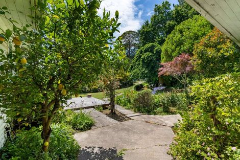 Photo of property in 1228 Greta Road, Greta Valley, 7387