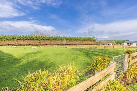 Photo of property in 29 Boyd Road, Gordonton, Hamilton, 3281