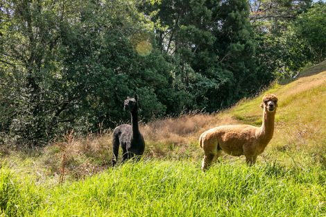 Photo of property in 92 Awanui Rise, Papakura, 2582