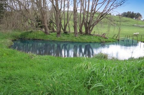 Photo of property in 17c Teal Avenue, Feilding, 4775