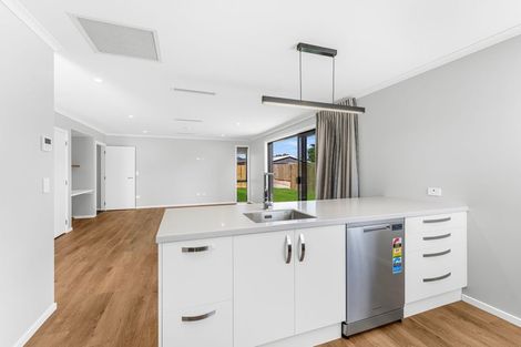 Photo of property in 64 Princes Street, Netherby, Ashburton, 7700