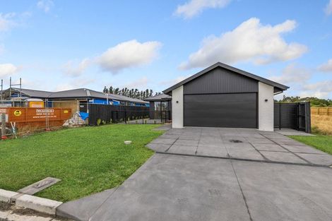 Photo of property in 45 Greig Crescent, Amberley, 7481