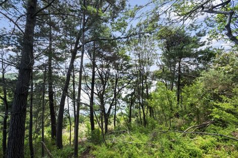 Photo of property in 124 Port Underwood Road, Waikawa, Picton, 7281