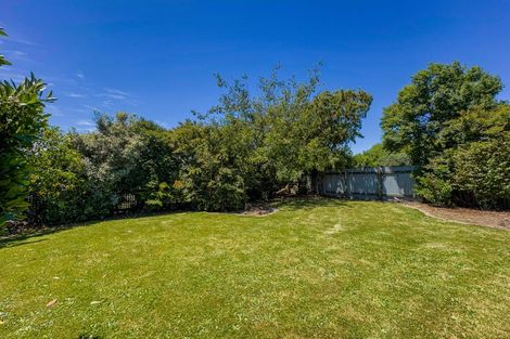 Photo of property in 29 Weld Street, Blenheim, 7201