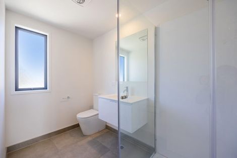 Photo of property in 21 Clay Works Lane, New Lynn, 0600