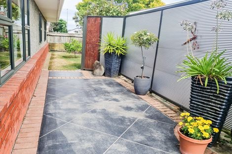 Photo of property in 47 Limbrick Street, Terrace End, Palmerston North, 4410