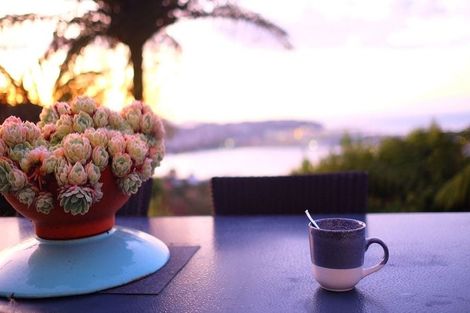 Photo of property in 25 Alexandra Road, Roseneath, Wellington, 6021