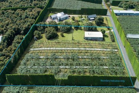 Photo of property in 154b Wairoa Road, Minden, Tauranga, 3171