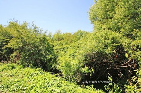 Photo of property in 45 Exeter Street, Glenview, Hamilton, 3206