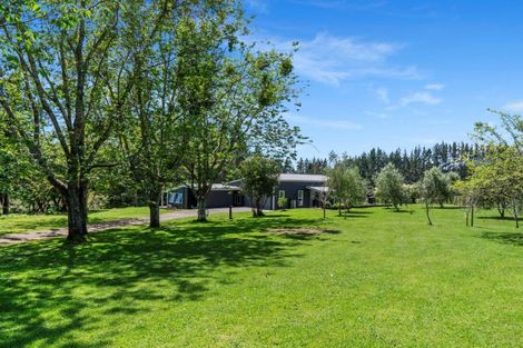 Photo of property in 173a Belk Road South, Omanawa, 3173