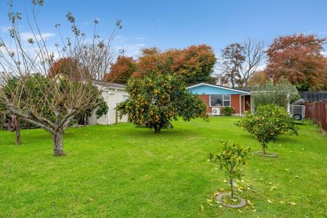 Photo of property in 61 Queen Street, Te Puke, 3119