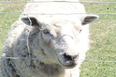 Photo of property in 66b Osborne Road, Amberley, 7410