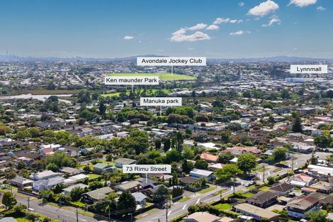 Photo of property in 73 Rimu Street, New Lynn, Auckland, 0600
