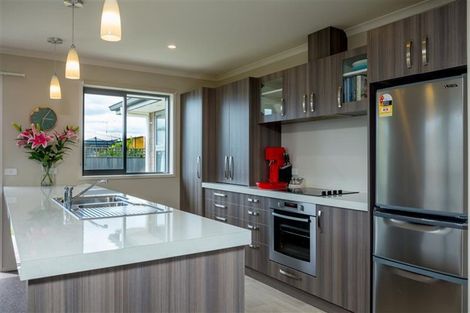 Photo of property in 13 Kirk Street, Renwick, 7204